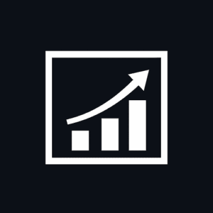 Webseo Icon