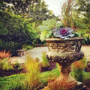 Read more about the article ARE YOU WATERING ENOUGH?