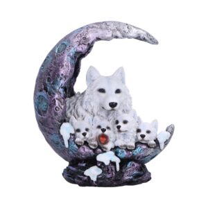 Winter Moon 20cm