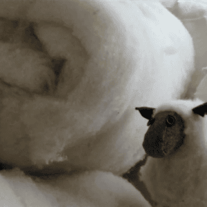wool batting for quilting