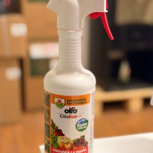 CIFO Blok Plus 500 ml Pronto all’Uso – Insetticida Acaricida per Piante Ornamentali
