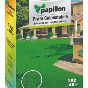 🌿 Papillon – Miscuglio Semi per Prato Calpestabile CON AGGIUNTA DI ZEOLITE