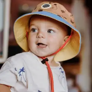 Hello Hossy Bob Groovy