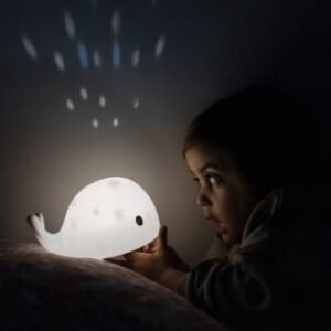 Flow Projecteur Moby