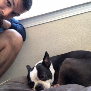 Boston Terriers: Separation Anxiety; Guide To Understanding. Boston Terrier Society.