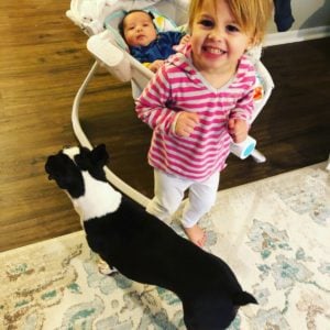 Boston Terrier Owners Review