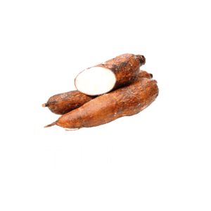 TAPIOCA