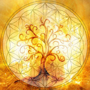 Engellehre_Wie_du_deine_3