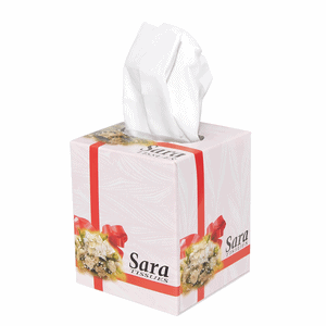 Sara Facial Tissues Cube Box
