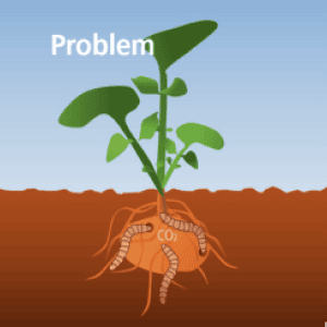 problem-min