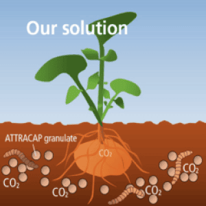 solution-min