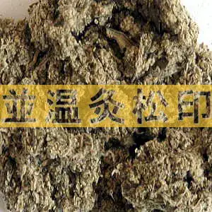並温灸松印