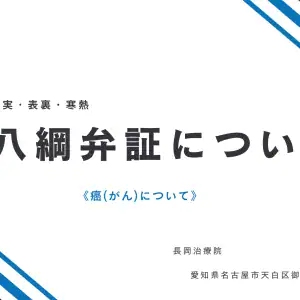八綱弁証についてbanner