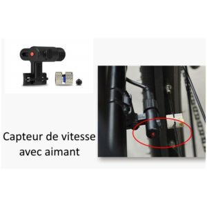 vitesse bafang