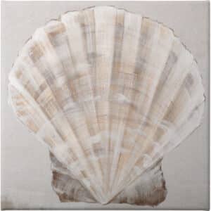 Neutral Shells II - Unframed Canvas