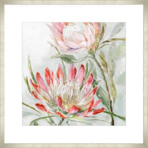 Decorative Banksia - 10cm Mount Board Med. Box Champagne