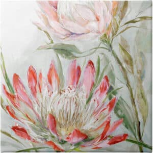 Decorative Banksia - Unframed Canvas Unframed Canvas