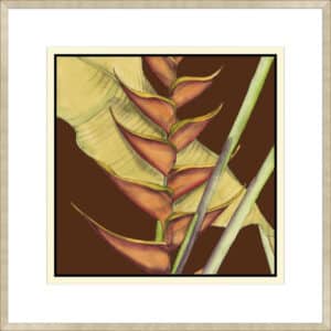 Striking Tropical III - 10cm Mount Board Sm. Box Champagne 