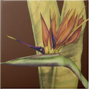 Striking Tropical II - Unframed Canvas Unframed Canvas