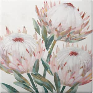 King Protea II - Unframed Canvas Unframed Canvas