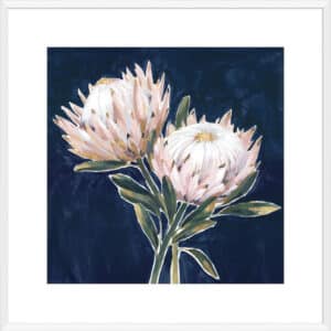 King Proteas - 10cm Mount Board Box White