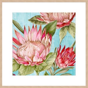 Popping King Protea II - 10cm Mount Board Box Natural