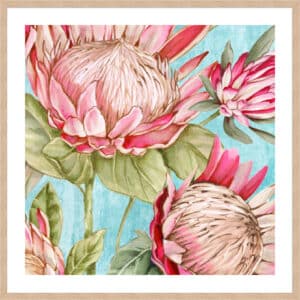 Popping King Protea I - 5cm White Border Box Natural