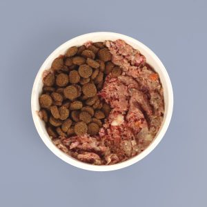 Bowl of kibble and raw food for dogs