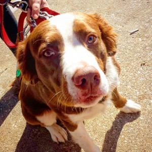 Vaccination Discounts