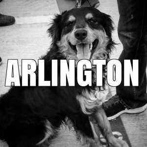 arlington vaccination clinics