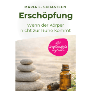 Buch Erschöpfung