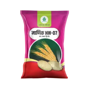 MANIK (NW-07) - Wheat - Nath Bio Genes