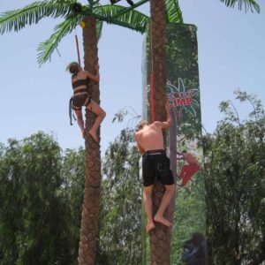 Coconut Tree Climb Rockwall / Palm Tree Climb Rental rental for events in Los Angeles, Orange County, and nationwide