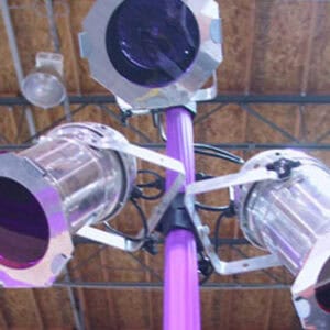 Light Tree rental for events in Los Angeles, Orange County, and nationwide