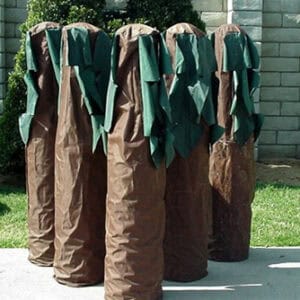 Palm Tree Bowling rental for events in Los Angeles, Orange County, and nationwide