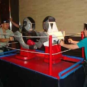 Rockem Sockem Robots