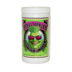 Advanced Nutrients Big Bud Powder | Stimolatore di Fioritura in Polvere