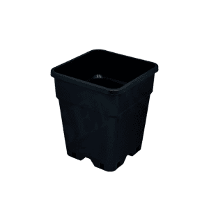 Vaso Quadrato in Plastica Nero | 19×19×24 cm 6,5 L