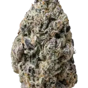 Biscotti Gelato | Fast Buds
