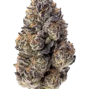 Papaya Sherbet | Fast Buds