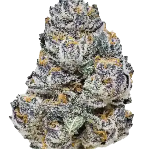 Rainbow Melon | Fast Buds