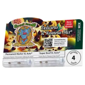 Delicious & Resinous Mix - Sweet Seeds semi da collezione