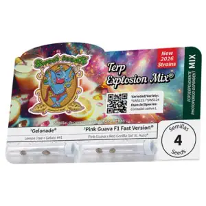 Terp Explosion Mix Sweet Seeds semi femminizzati
