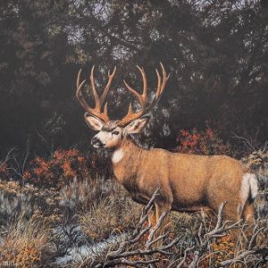 Elusive Prize - Frank D Miller