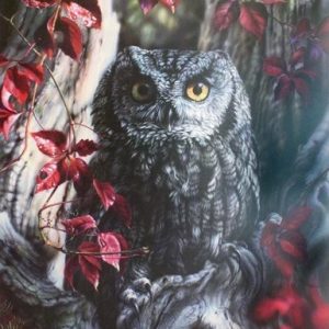 Dew Drop Inn - Vivi K Crandall