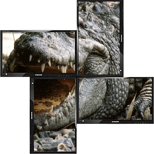 controlador video wall