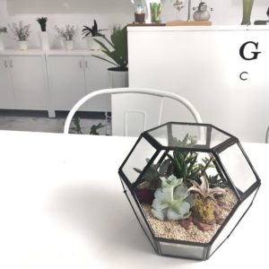 Beli sekarang dekorasi urban nature