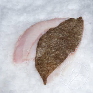 Tarbotfilet met vel