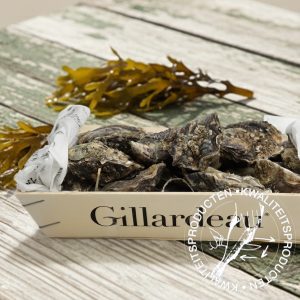 gillardeau