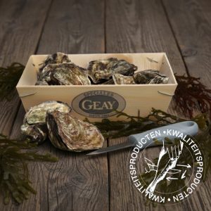 oester-geay